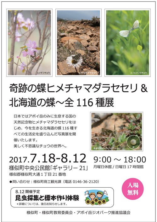 イベントカレンダー：【終了しました】奇跡の蝶ヒメチャマダラセセリ＆北海道の蝶～全116種展 | イベント情報