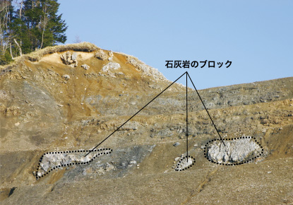 松岡沢の石灰岩ブロック