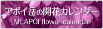 アポイ岳の開花カレンダー
